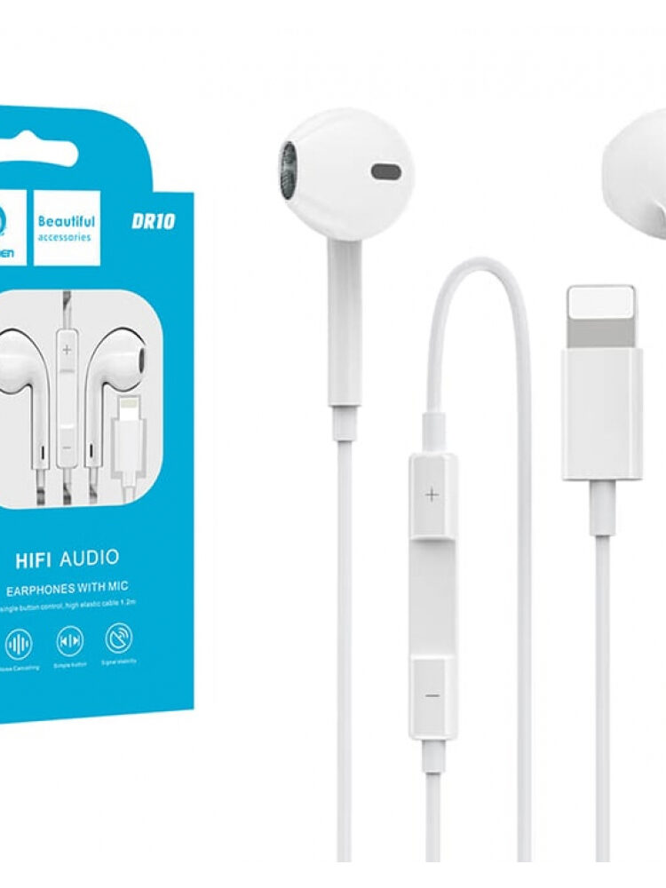 DENMEN HIFI AUDIO EARPHONE WITH MIC DR10