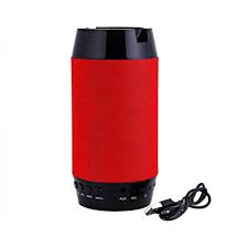 PORTABLE BLUETOOTH SPEAKER Q300