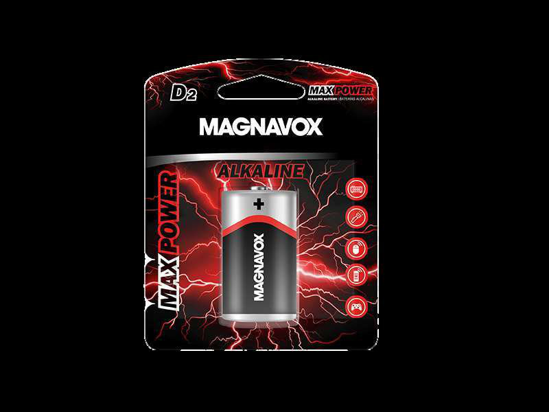 Alkaline D battery 1001005